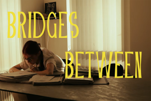 Bridges Between Youth Initiatives | NICRC