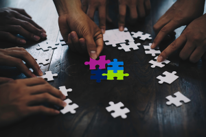 Jigsaw pieces coming together | NICRC
