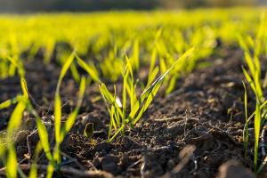Rural Community Network | NICRC