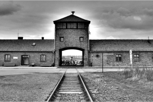 Holocaust workshops | NICRC