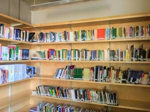 Library shelves filled with Irish language books | CRC NI