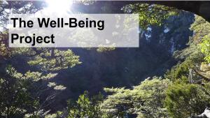 The Well-being Project | NICRC